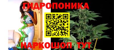 сатива Кумертау