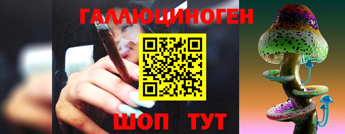 Псилоцибиновые грибы мицелий Ессентуки